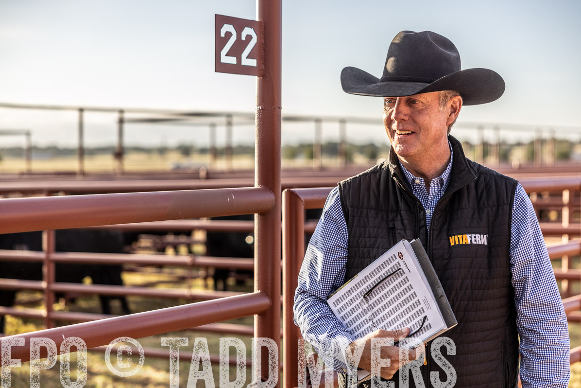 TMyers_FallBullSale_Cameron_Oct2022--523264