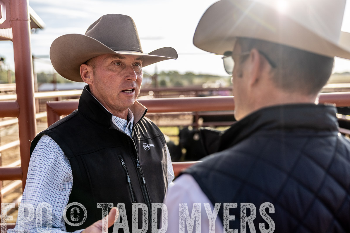 TMyers_FallBullSale_Cameron_Oct2022--523357