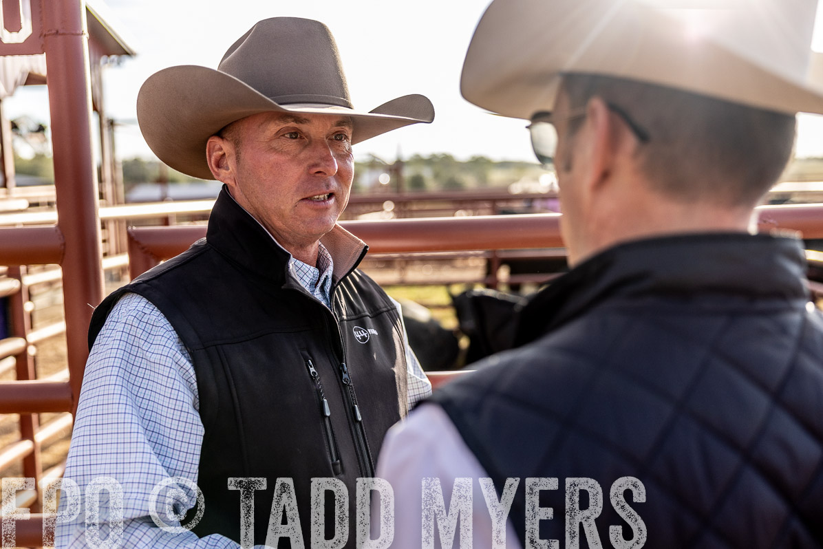 TMyers_FallBullSale_Cameron_Oct2022--523362