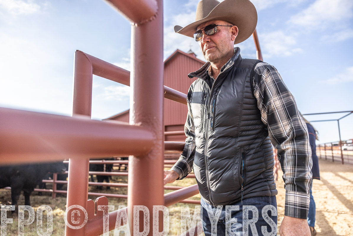 TMyers_FallBullSale_Cameron_Oct2022--523477