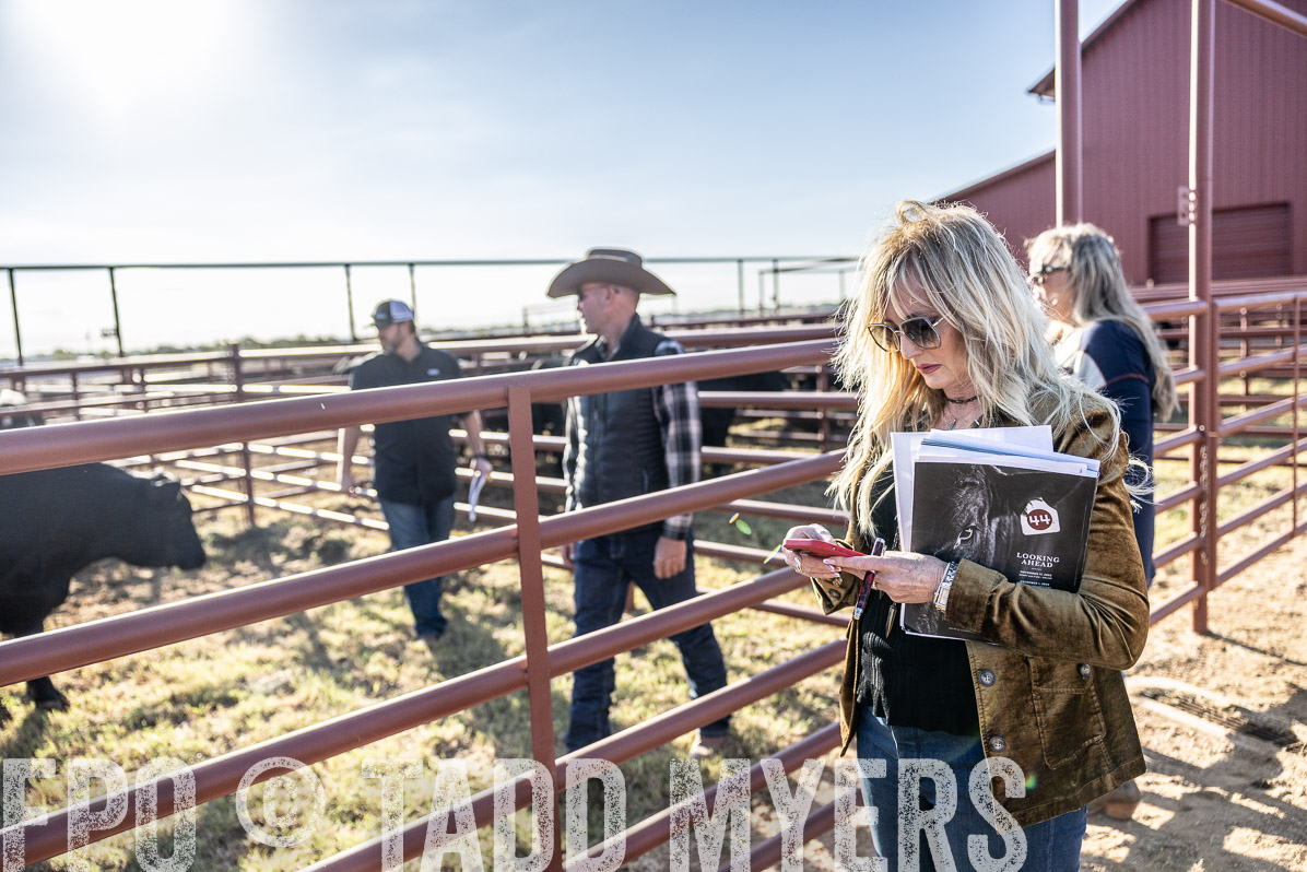 TMyers_FallBullSale_Cameron_Oct2022--523671