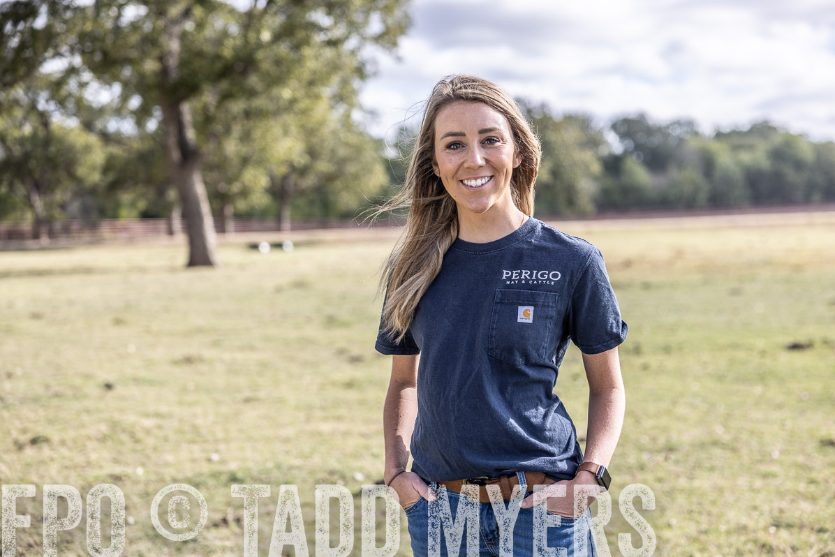 TMyers_FallBullSale_Cameron_Oct2022--523719