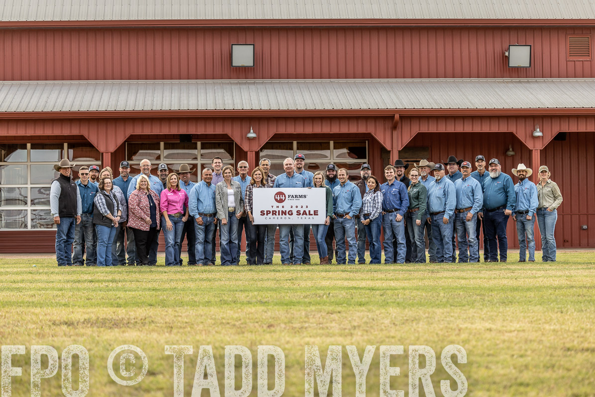 TMyers_FallBullSale_Cameron_Oct2022--524600
