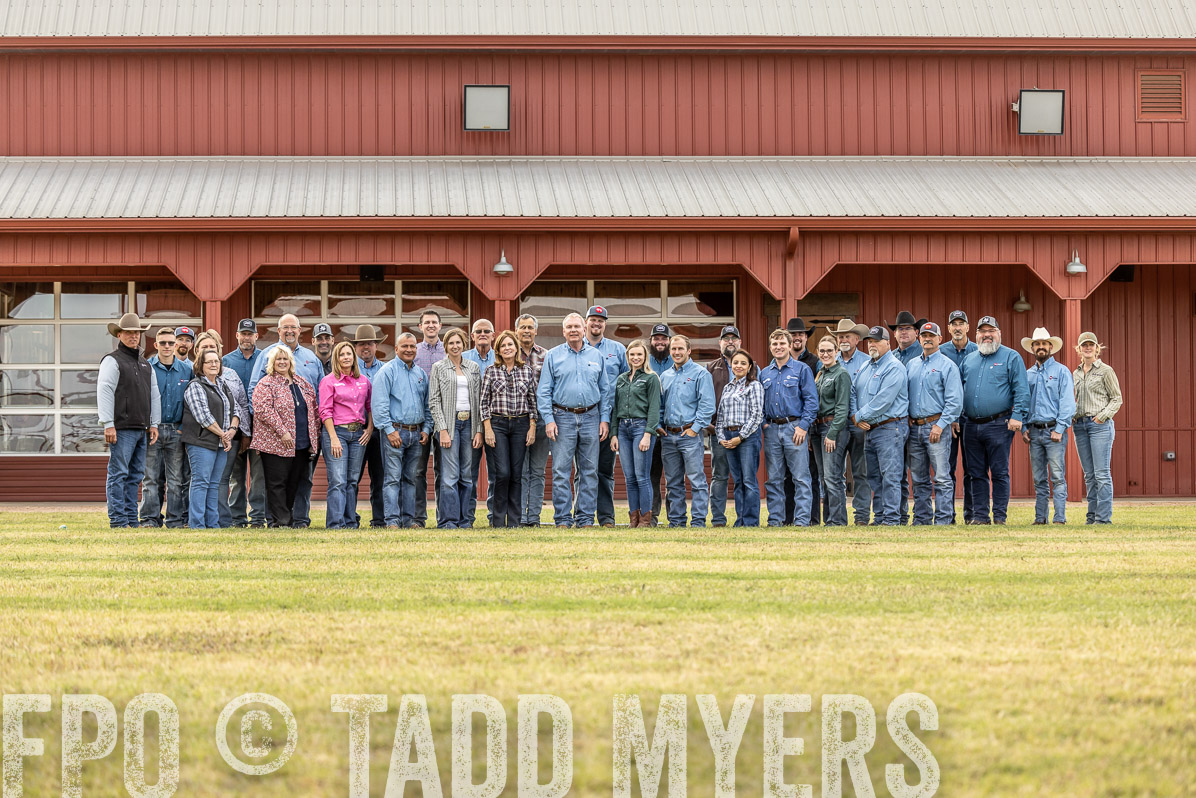 TMyers_FallBullSale_Cameron_Oct2022--524604