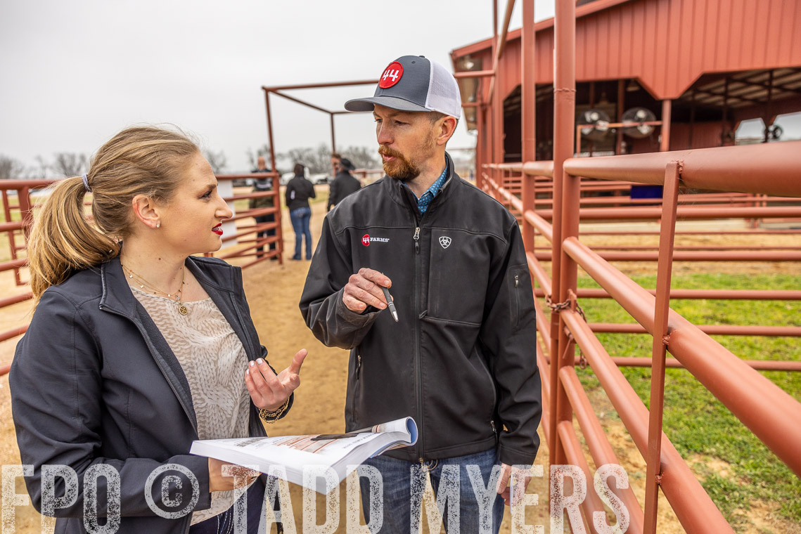 TMyers_SpringBullSale_Cameron_Feb2023-520011