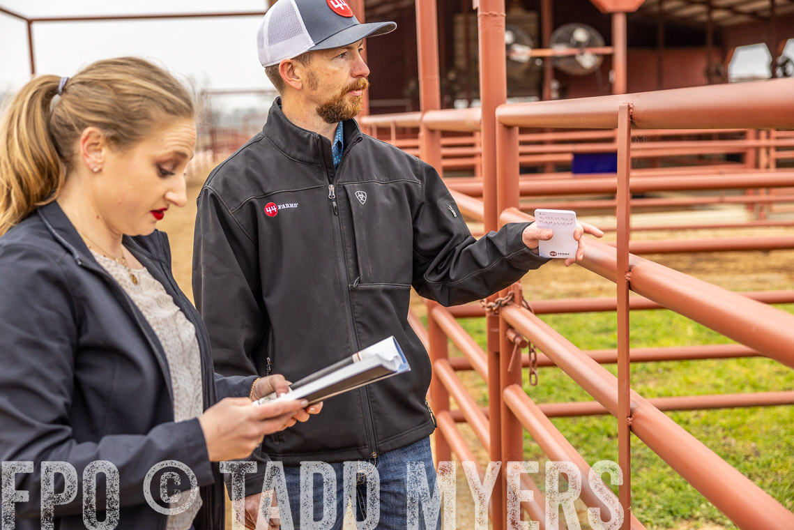 TMyers_SpringBullSale_Cameron_Feb2023-520028