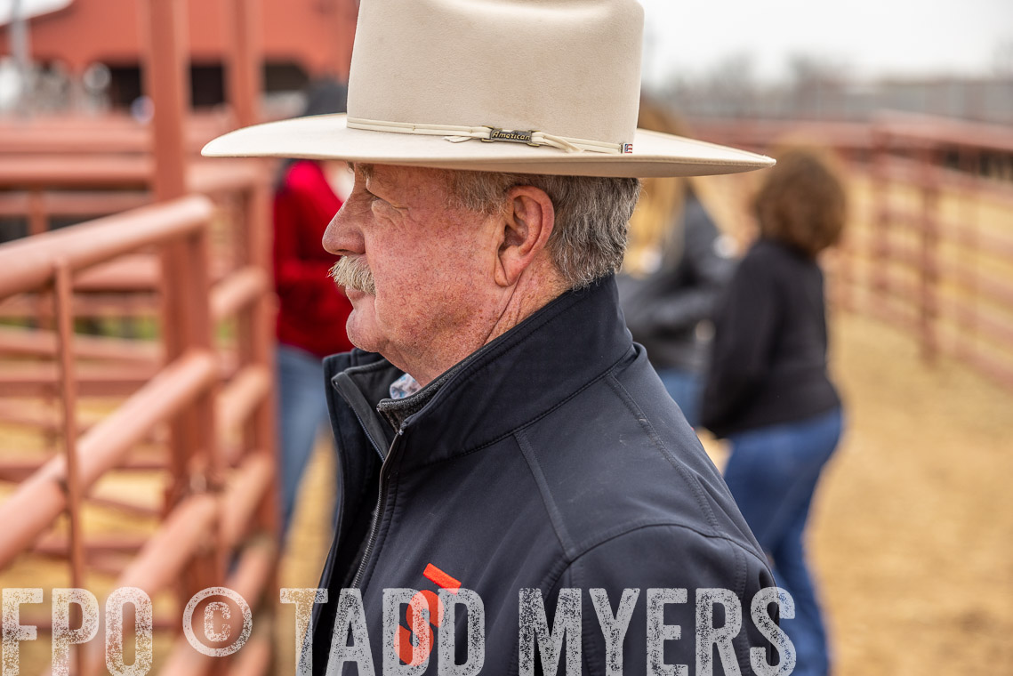 TMyers_SpringBullSale_Cameron_Feb2023-520082