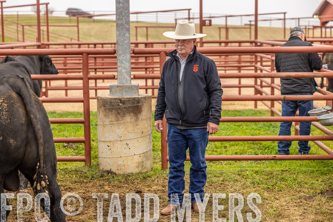 TMyers_SpringBullSale_Cameron_Feb2023-520095
