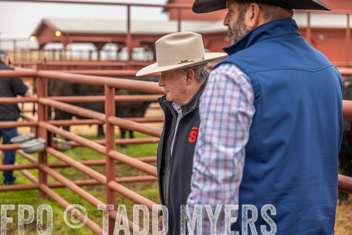TMyers_SpringBullSale_Cameron_Feb2023-520105