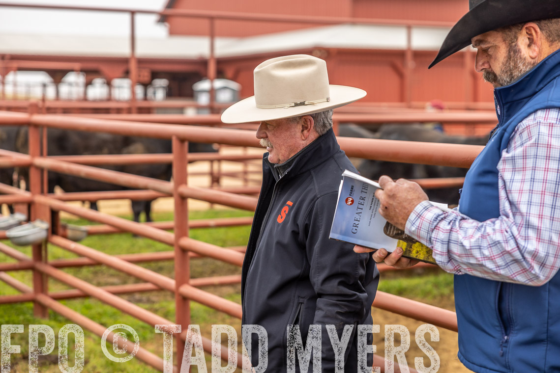 TMyers_SpringBullSale_Cameron_Feb2023-520106