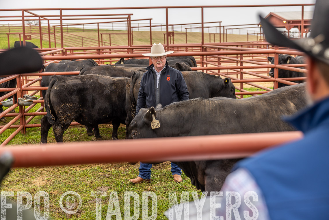 TMyers_SpringBullSale_Cameron_Feb2023-520157
