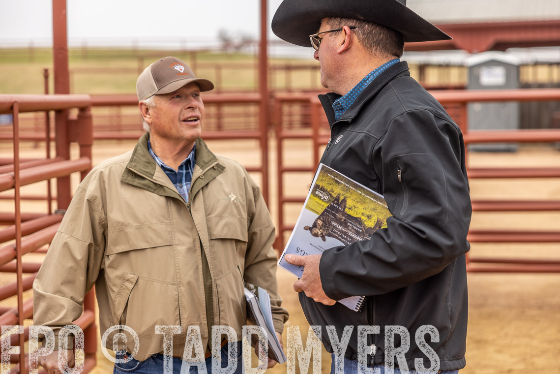 TMyers_SpringBullSale_Cameron_Feb2023-520160