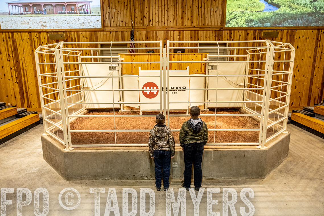 TMyers_SpringBullSale_Cameron_Feb2023-520179