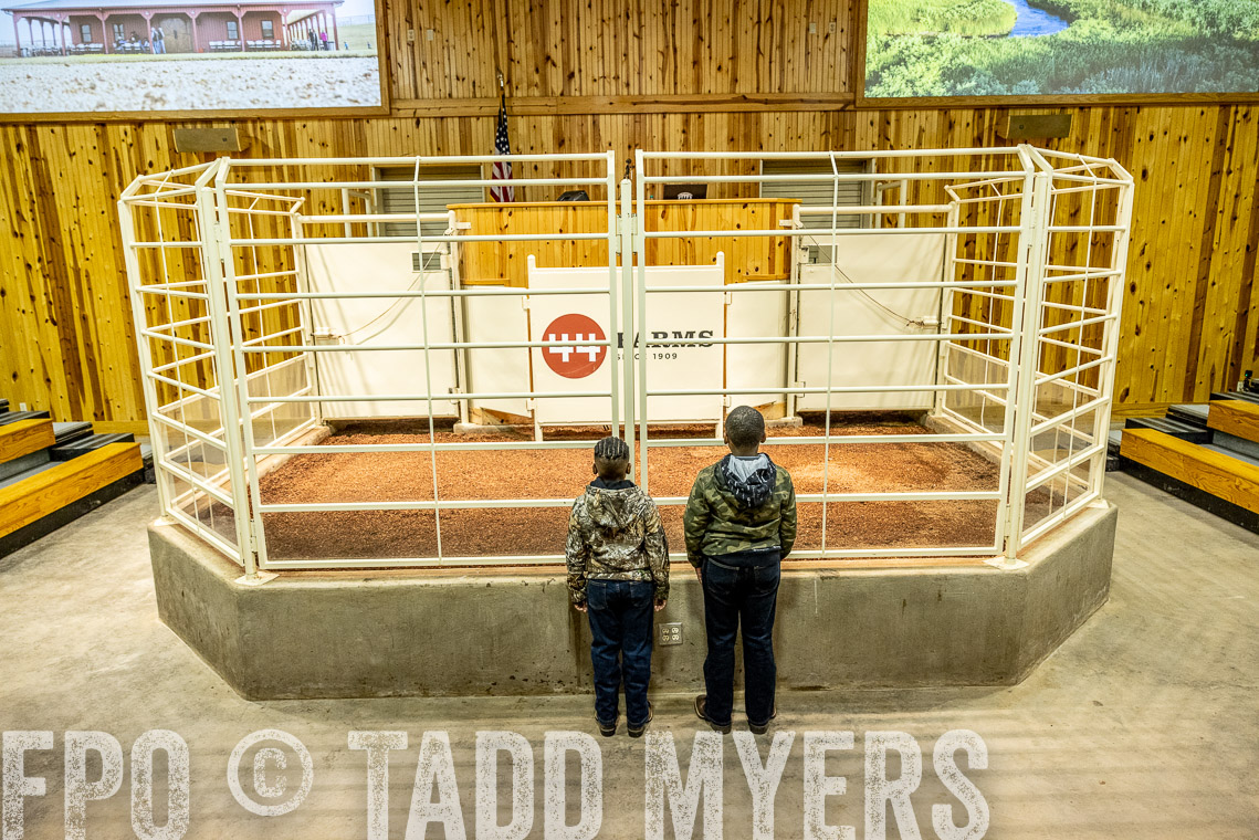TMyers_SpringBullSale_Cameron_Feb2023-520181