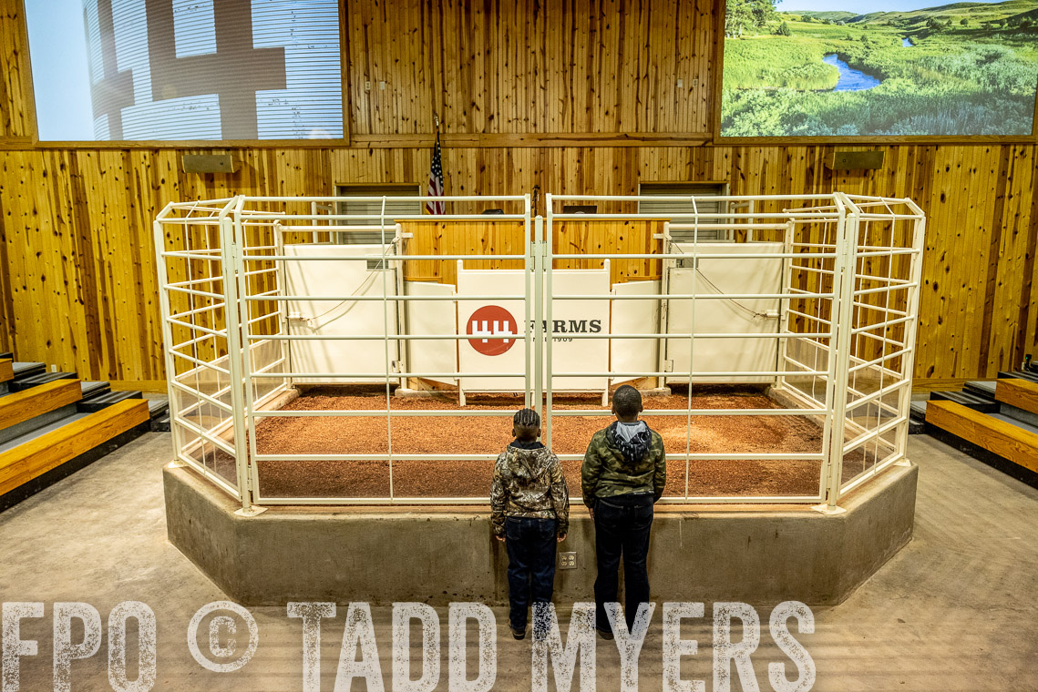 TMyers_SpringBullSale_Cameron_Feb2023-520183
