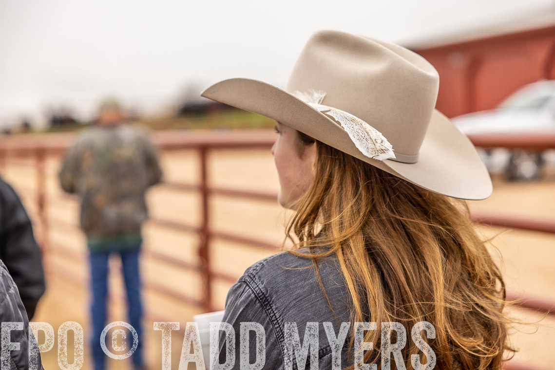 TMyers_SpringBullSale_Cameron_Feb2023-520193