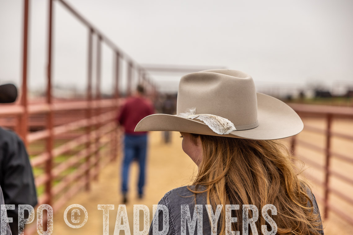 TMyers_SpringBullSale_Cameron_Feb2023-520200