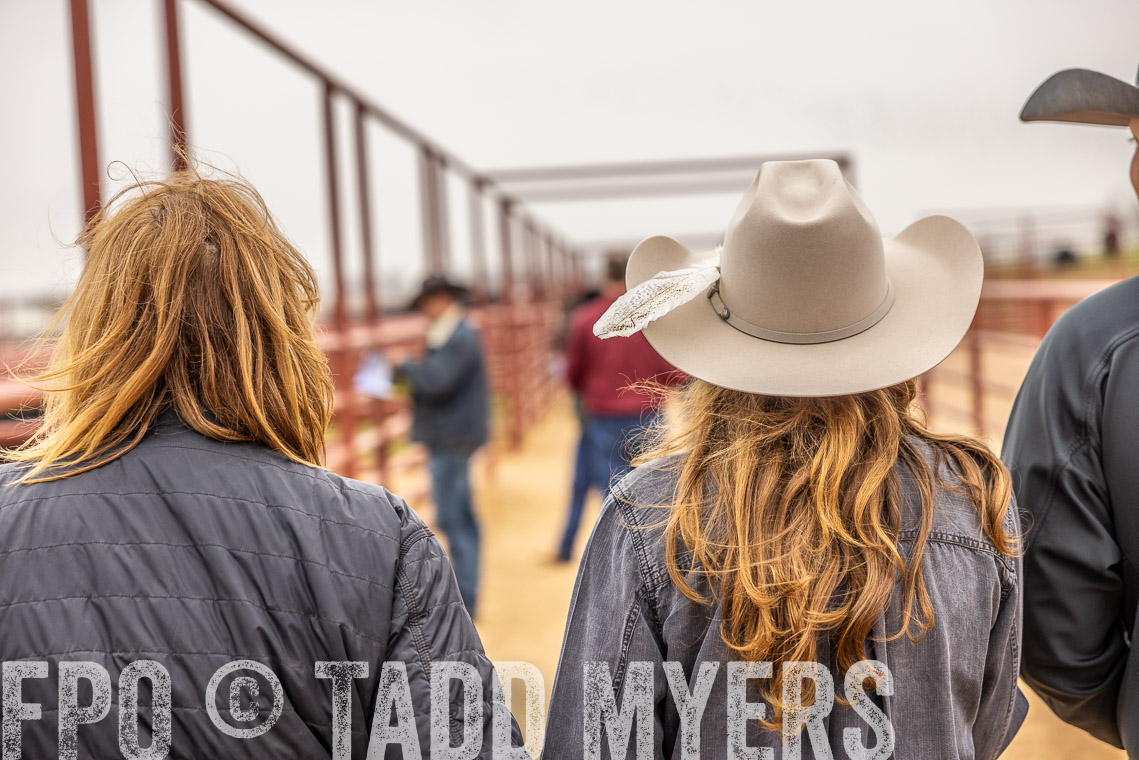TMyers_SpringBullSale_Cameron_Feb2023-520204