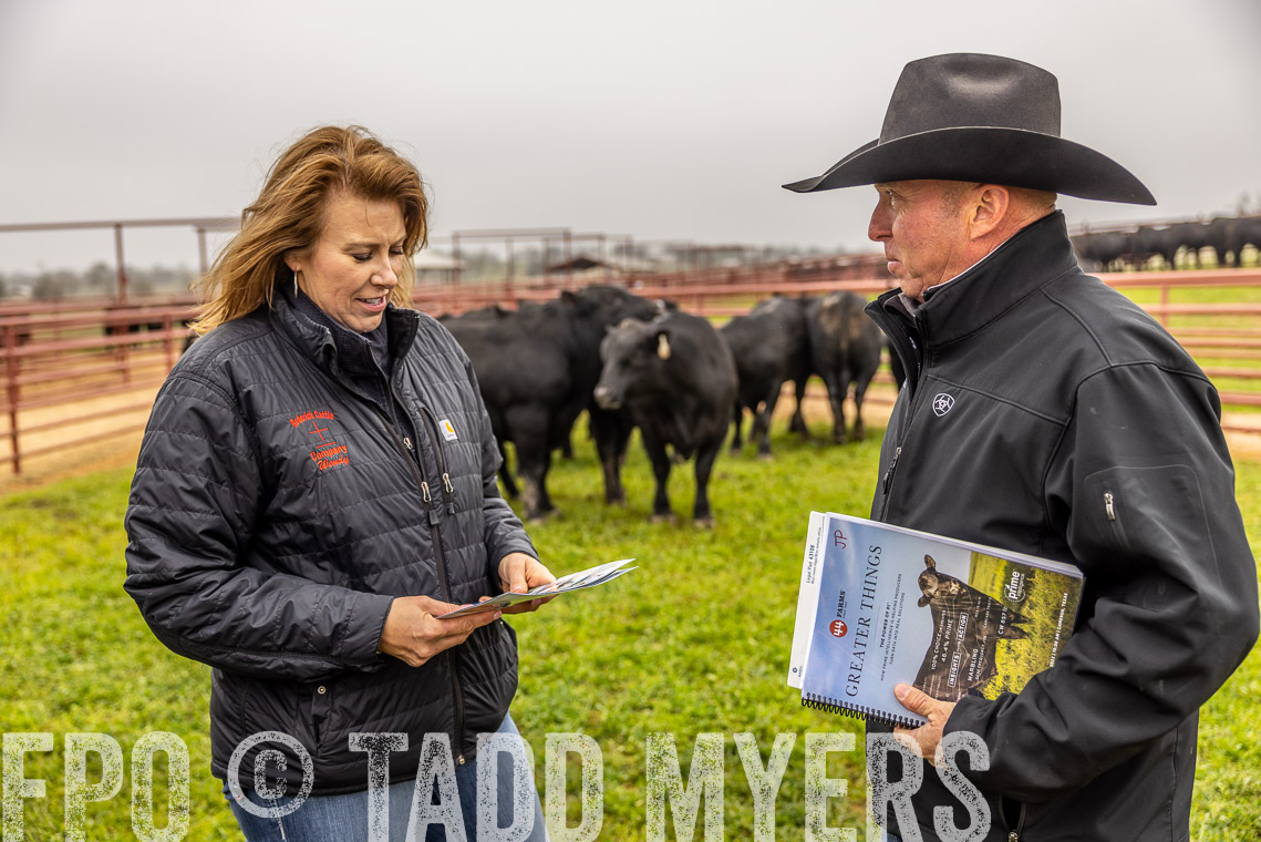 TMyers_SpringBullSale_Cameron_Feb2023-520232