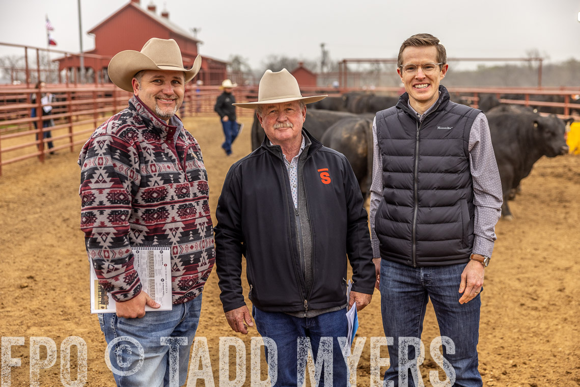 TMyers_SpringBullSale_Cameron_Feb2023-520372