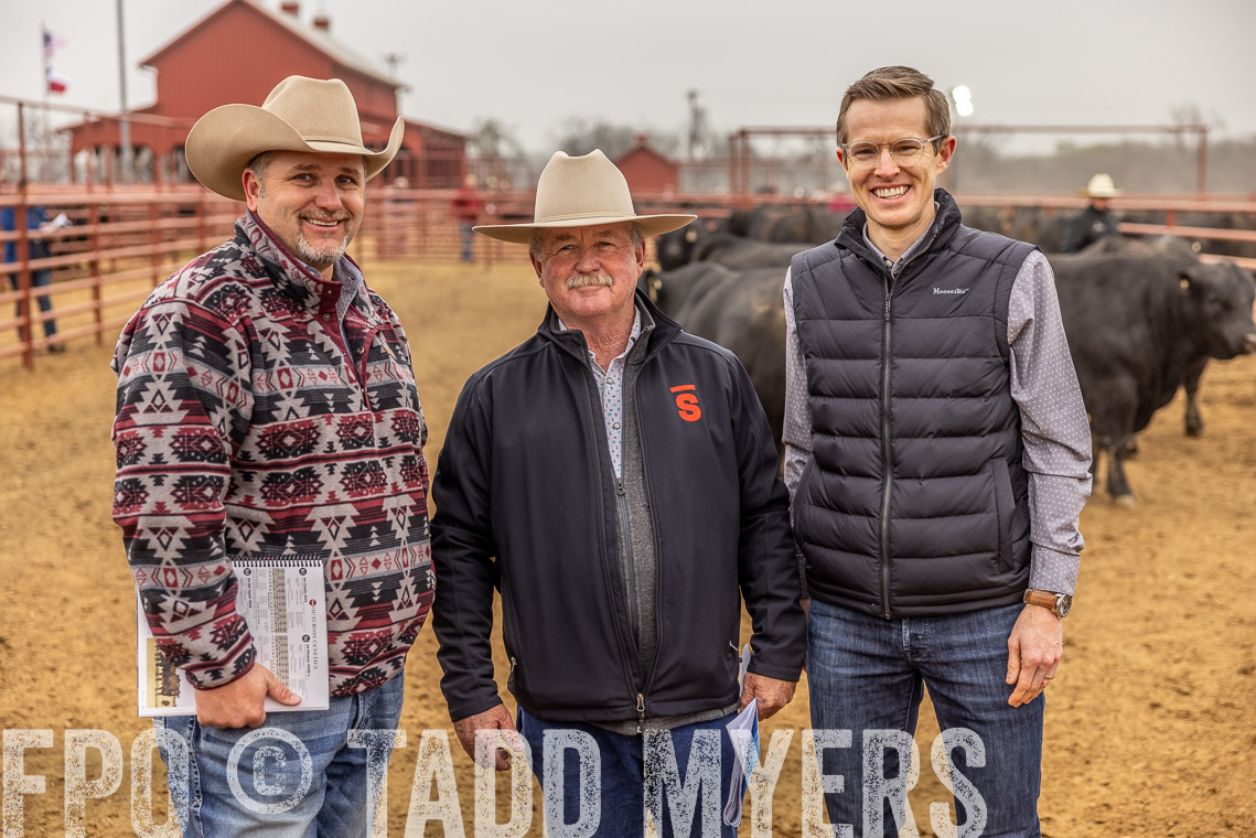 TMyers_SpringBullSale_Cameron_Feb2023-520382