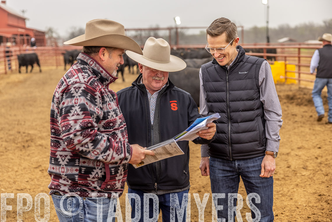 TMyers_SpringBullSale_Cameron_Feb2023-520388