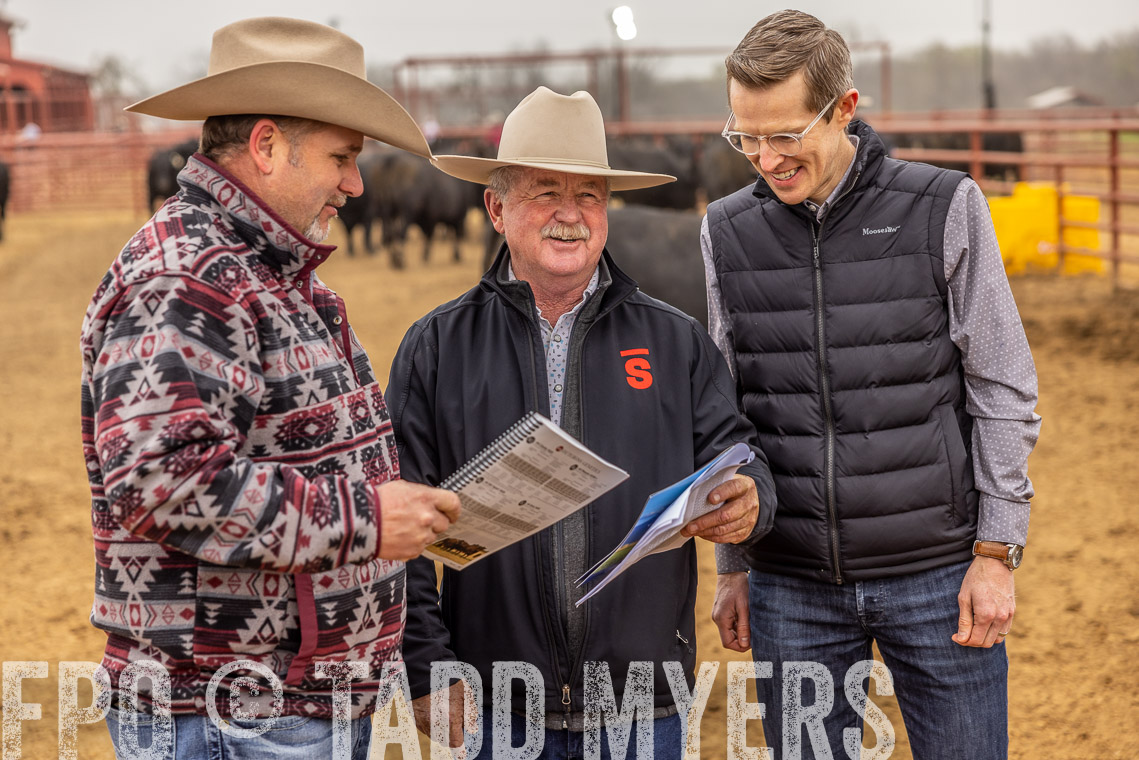 TMyers_SpringBullSale_Cameron_Feb2023-520395
