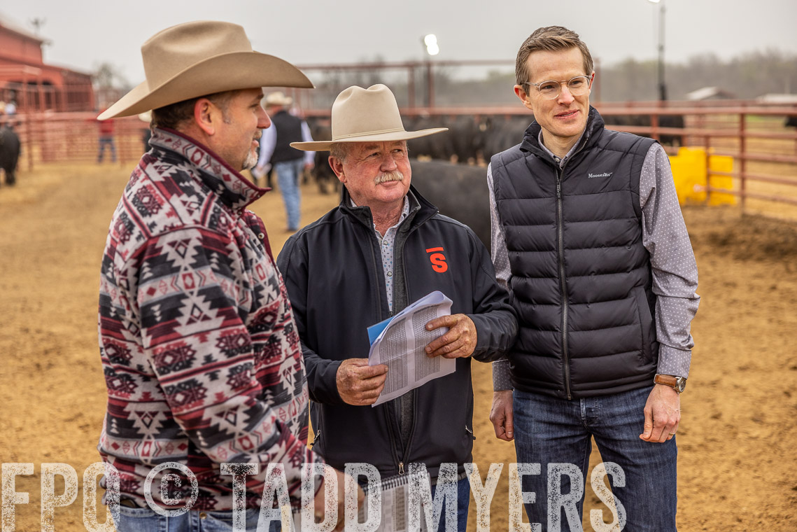 TMyers_SpringBullSale_Cameron_Feb2023-520401