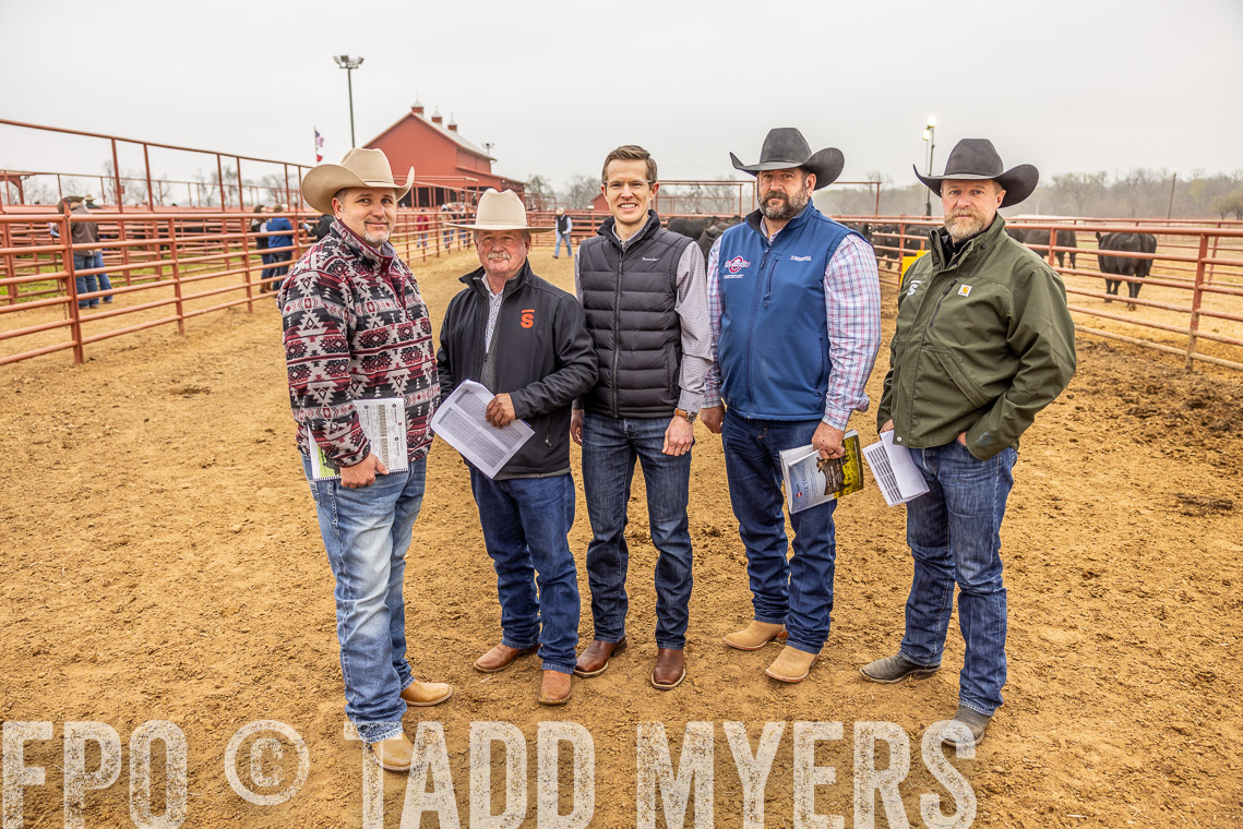 TMyers_SpringBullSale_Cameron_Feb2023-520406