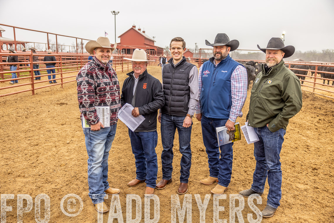 TMyers_SpringBullSale_Cameron_Feb2023-520410