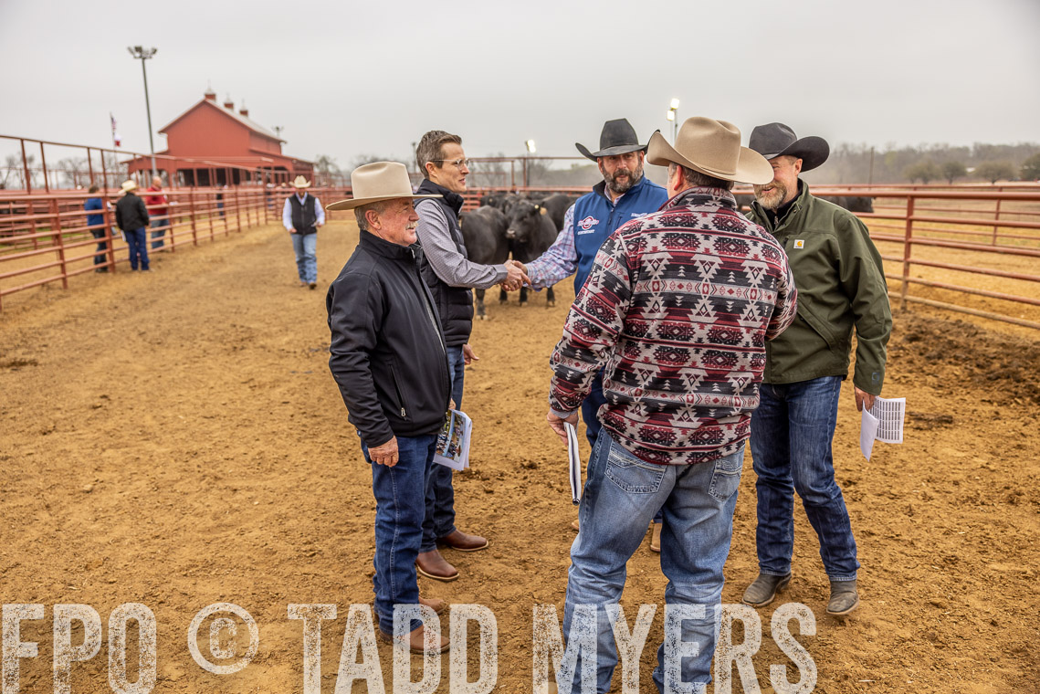 TMyers_SpringBullSale_Cameron_Feb2023-520415