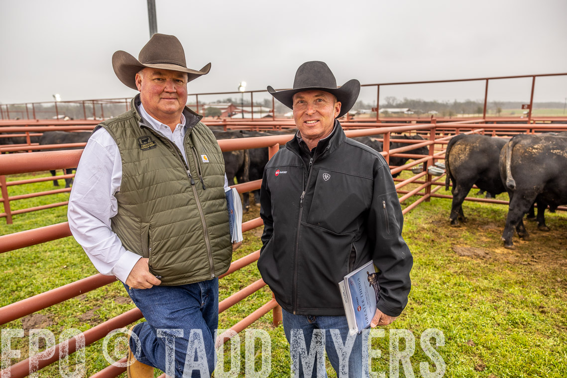 TMyers_SpringBullSale_Cameron_Feb2023-520448
