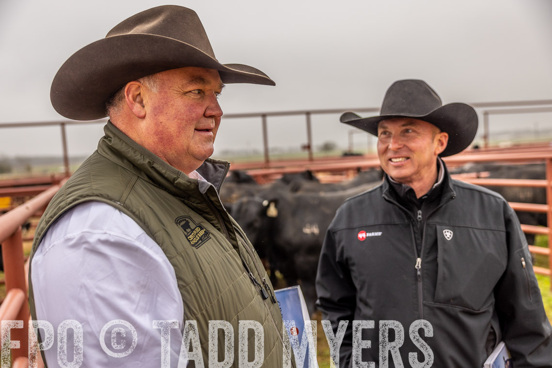 TMyers_SpringBullSale_Cameron_Feb2023-520455