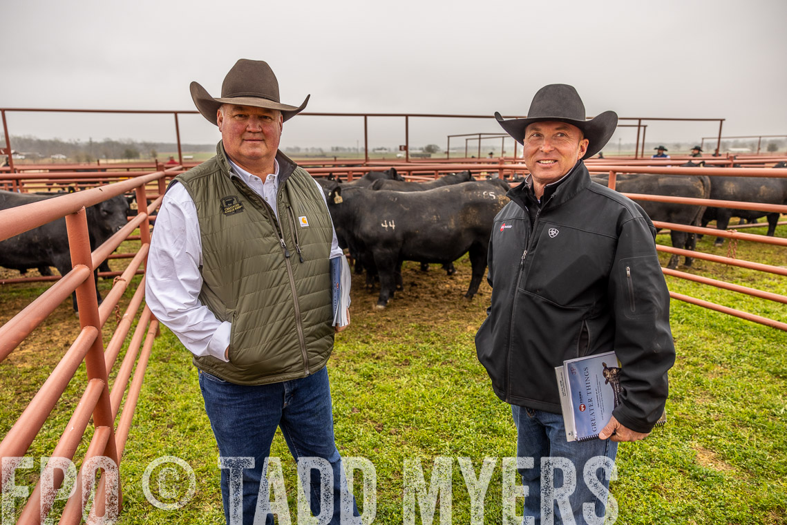 TMyers_SpringBullSale_Cameron_Feb2023-520457