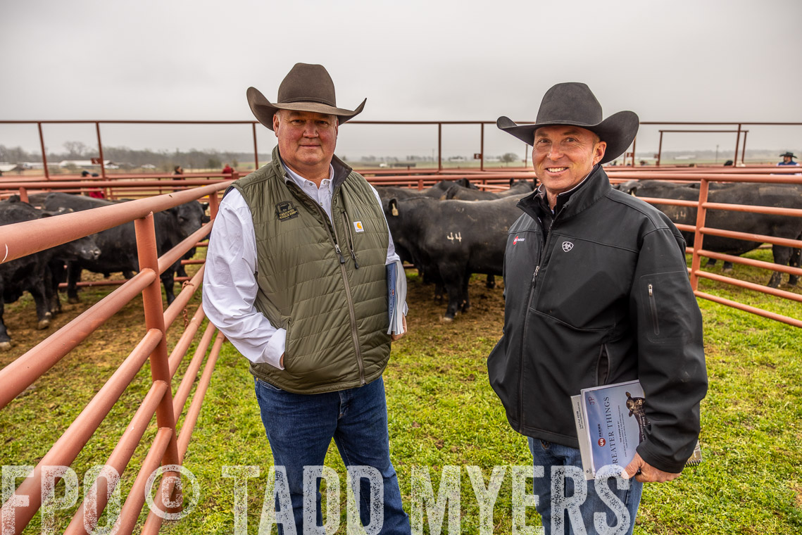 TMyers_SpringBullSale_Cameron_Feb2023-520461