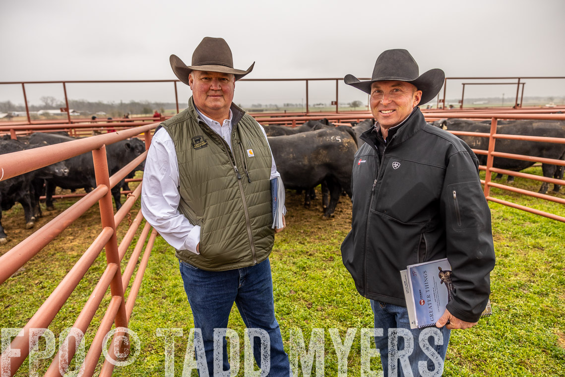 TMyers_SpringBullSale_Cameron_Feb2023-520464