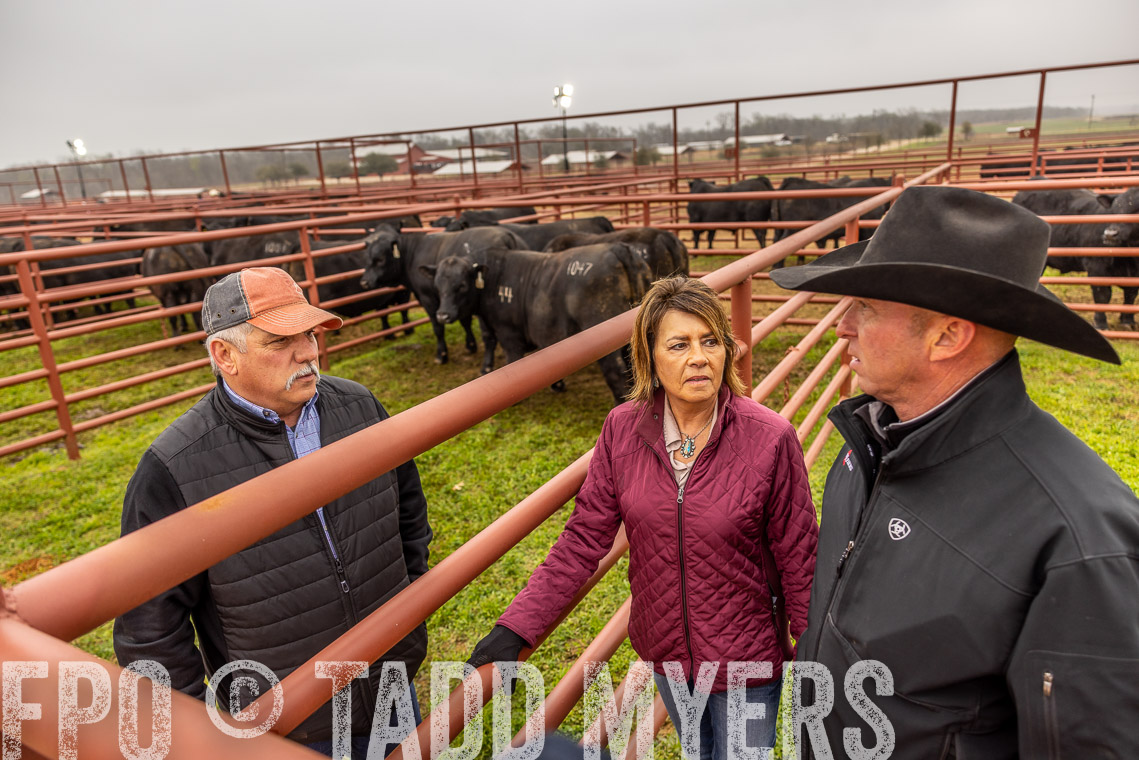 TMyers_SpringBullSale_Cameron_Feb2023-520497