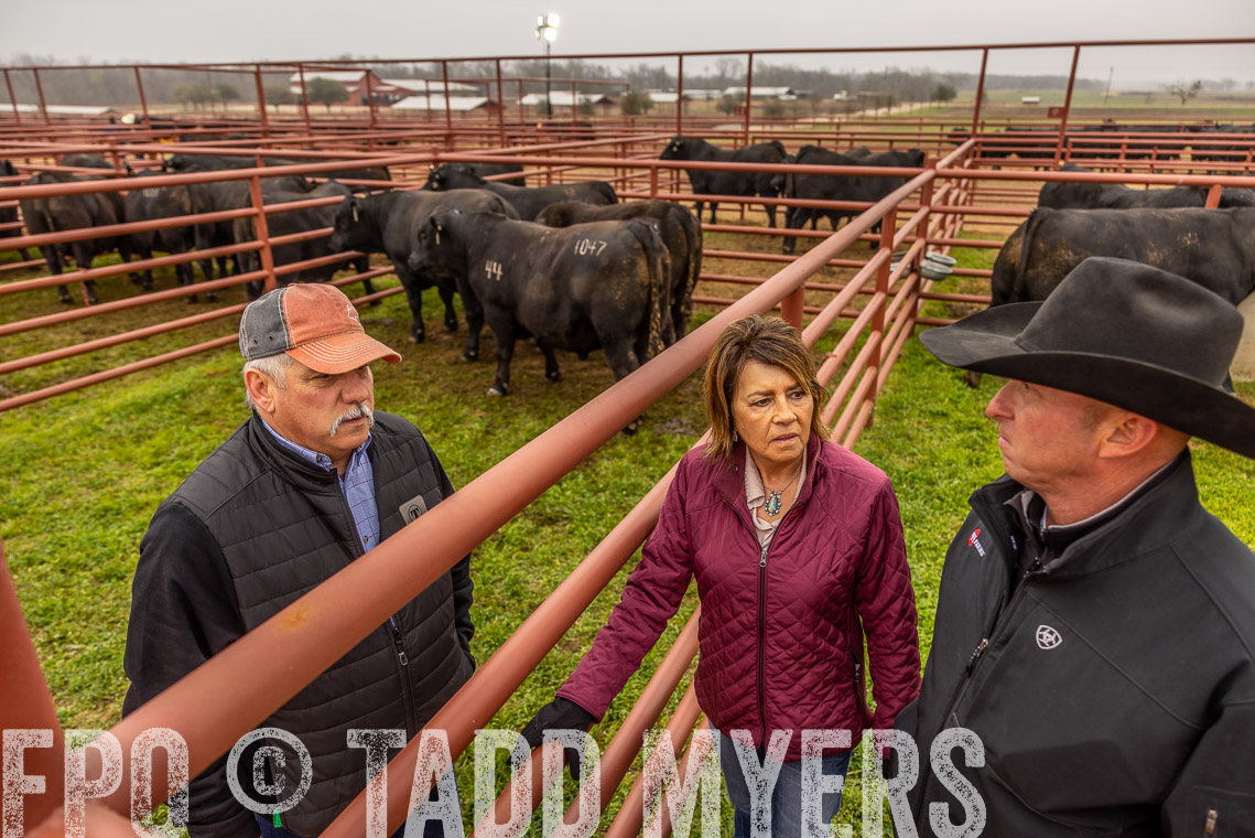 TMyers_SpringBullSale_Cameron_Feb2023-520509