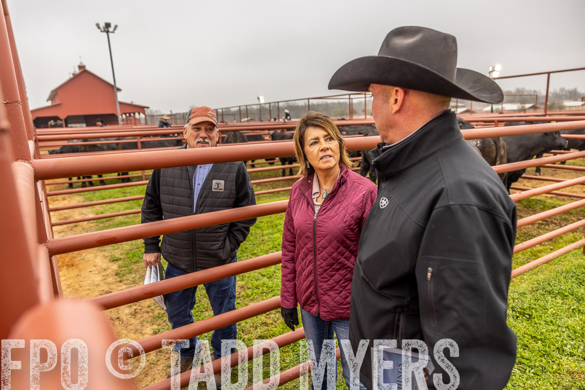 TMyers_SpringBullSale_Cameron_Feb2023-520588