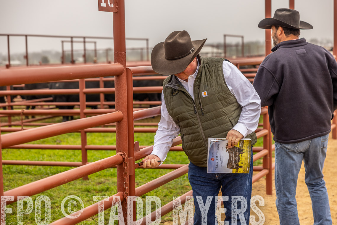 TMyers_SpringBullSale_Cameron_Feb2023-520600