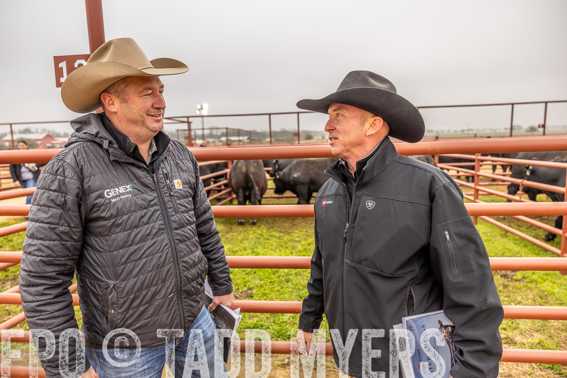 TMyers_SpringBullSale_Cameron_Feb2023-520607