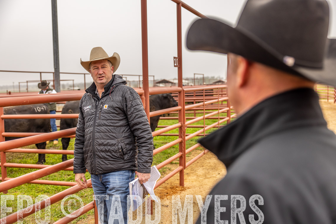 TMyers_SpringBullSale_Cameron_Feb2023-520612