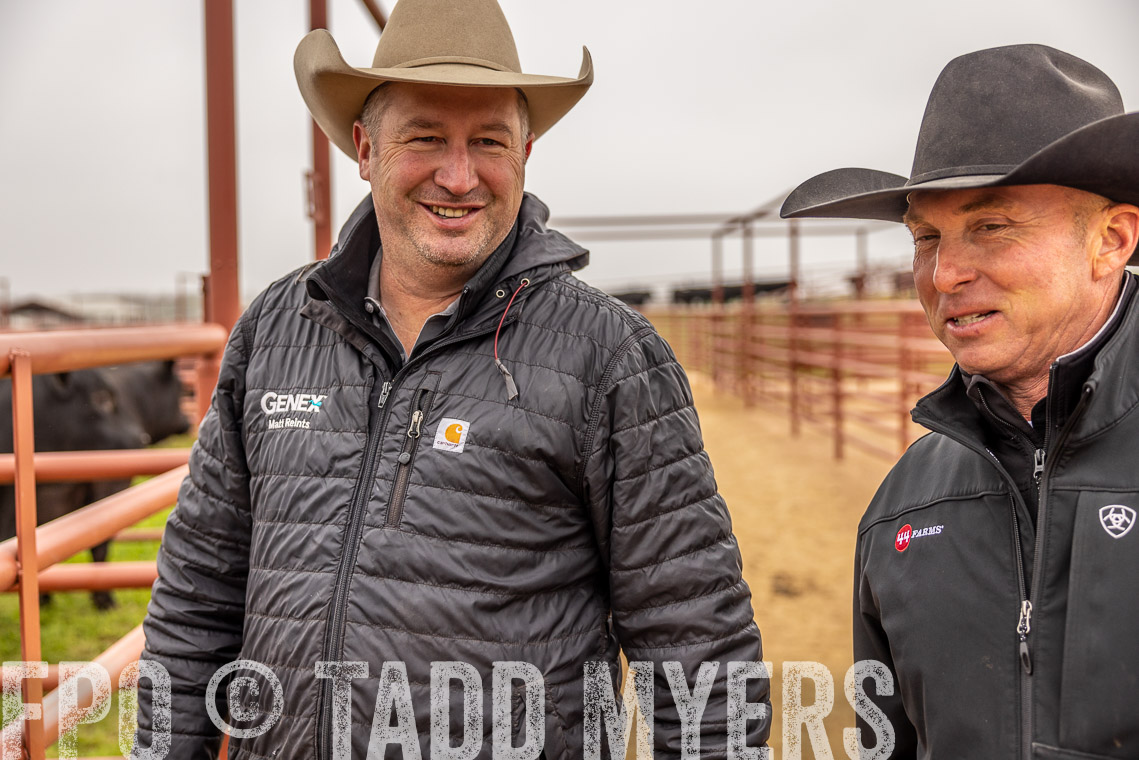 TMyers_SpringBullSale_Cameron_Feb2023-520616