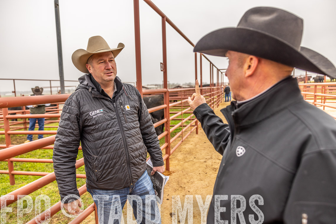 TMyers_SpringBullSale_Cameron_Feb2023-520624