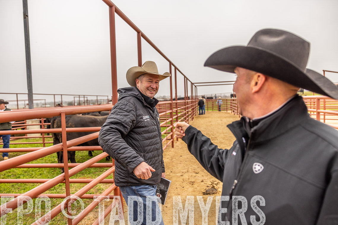 TMyers_SpringBullSale_Cameron_Feb2023-520626