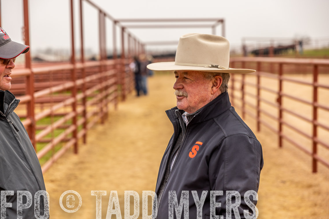 TMyers_SpringBullSale_Cameron_Feb2023-520629