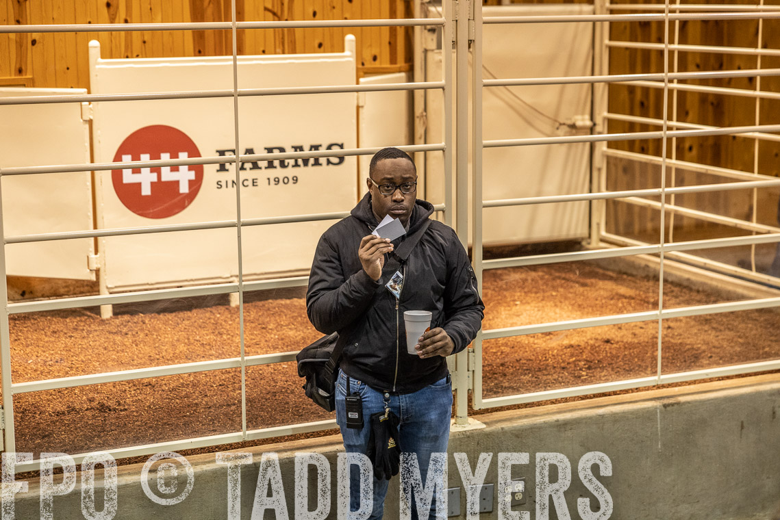 TMyers_SpringBullSale_Cameron_Feb2023-520640