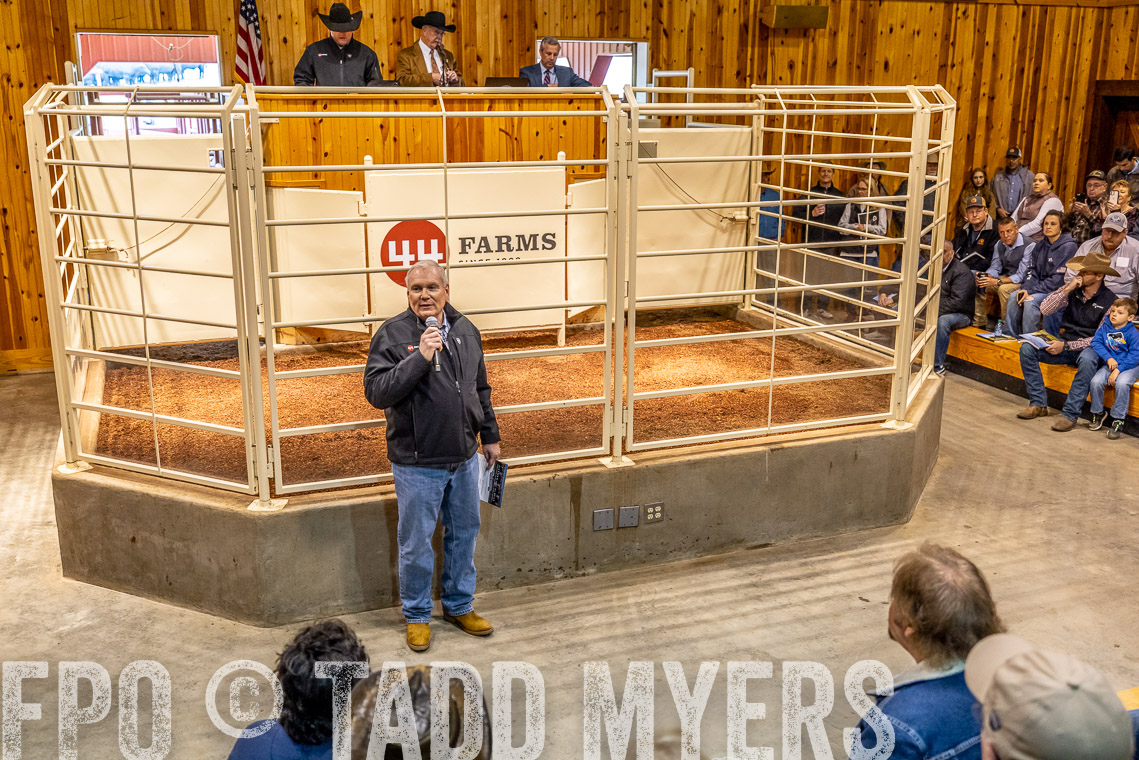 TMyers_SpringBullSale_Cameron_Feb2023-520669