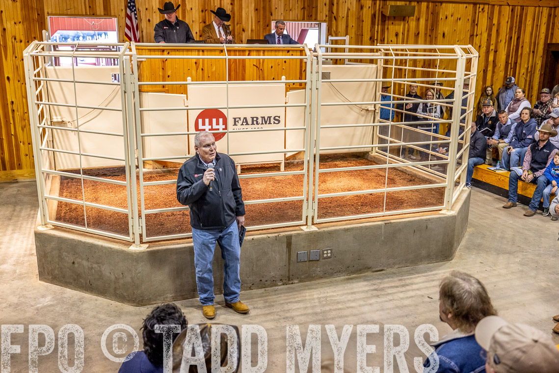 TMyers_SpringBullSale_Cameron_Feb2023-520673