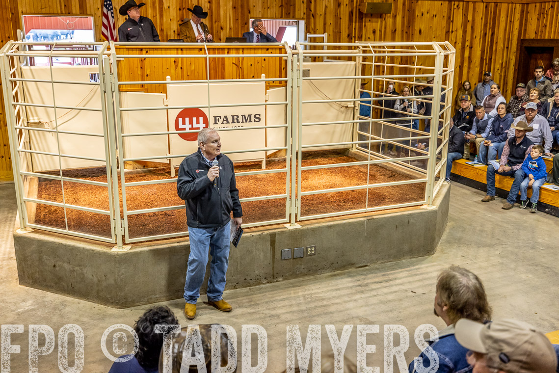 TMyers_SpringBullSale_Cameron_Feb2023-520683